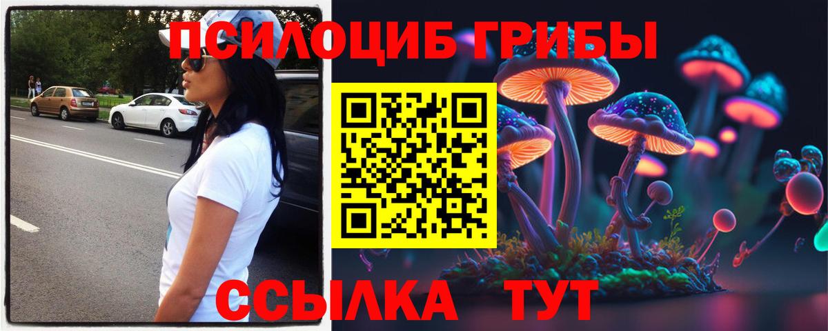 Галлюциногенные грибы прущие грибы Ставрополь