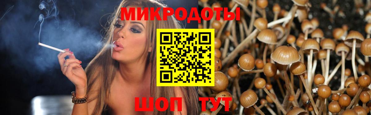 магазин продажи   Вход с VPN  Ставрополь  Галлюциногенные грибы прущие грибы  Псилоцибиновые грибы ЛСД 