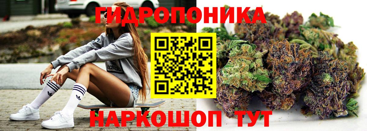 Ставрополь  МАРИХУАНА план  Вход с VPN  Конопля THC 21%  Бошки марихуана марихуана  МАРИХУАНА THC 21% 